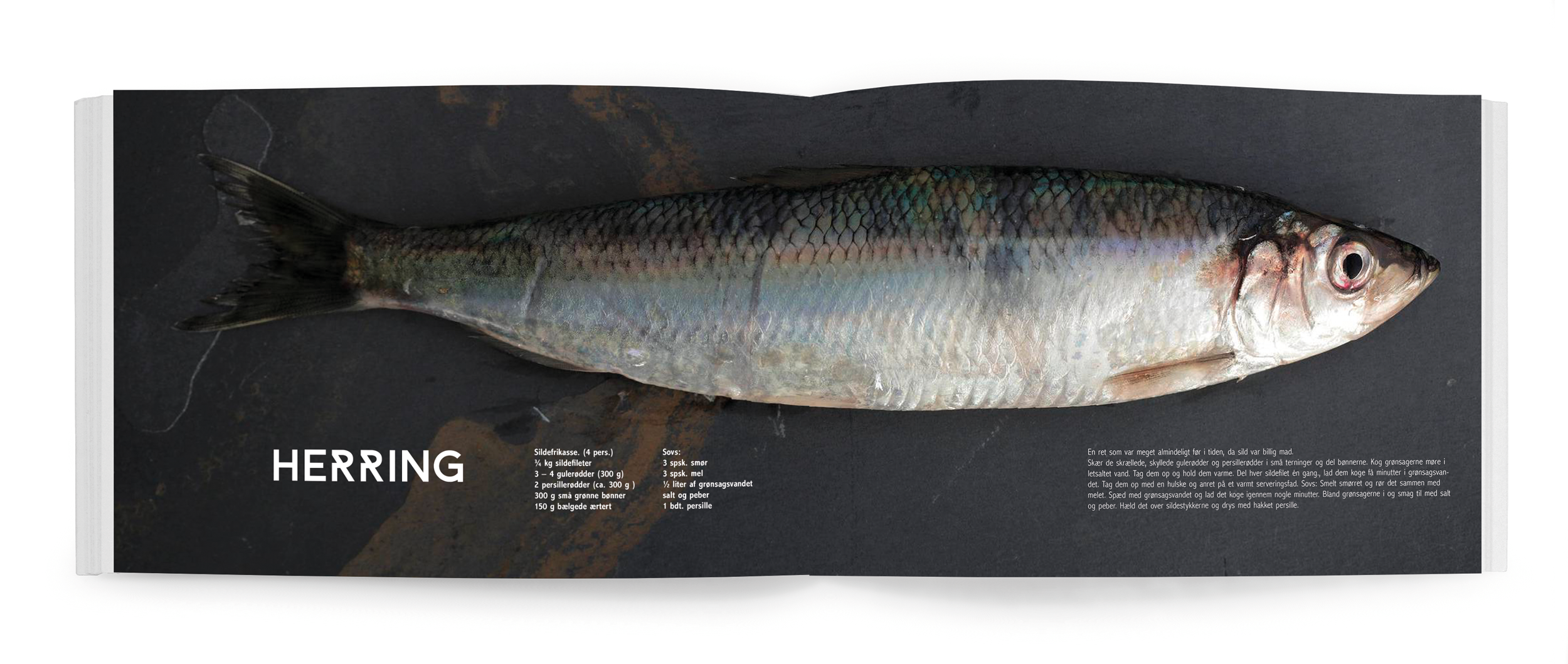 paulinevage_munich_branding_sjø_seafood_009